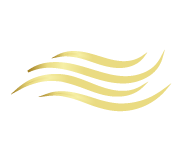 Icono rio